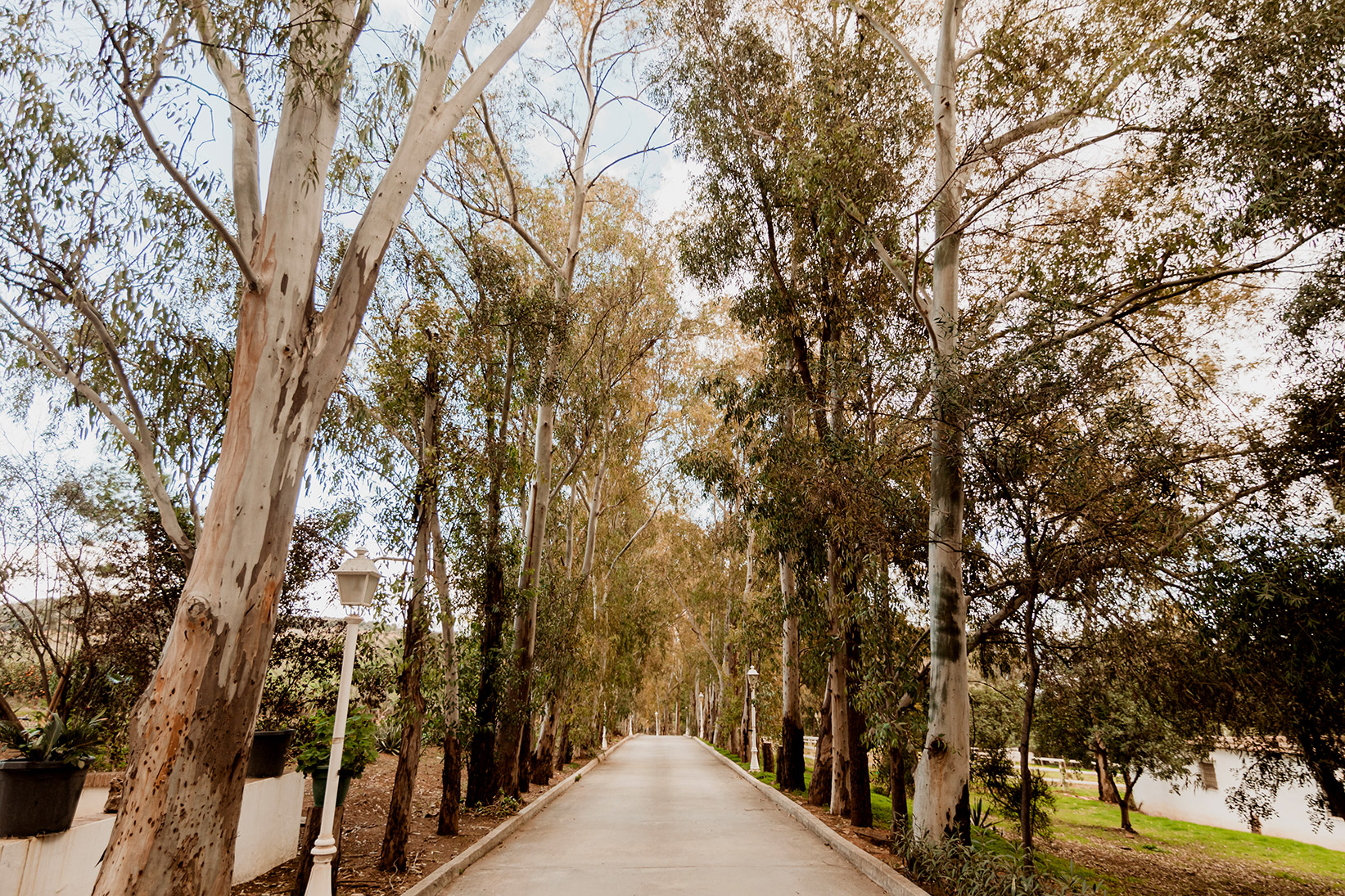 Bodas y ceremonias en Finca Las Yeguas